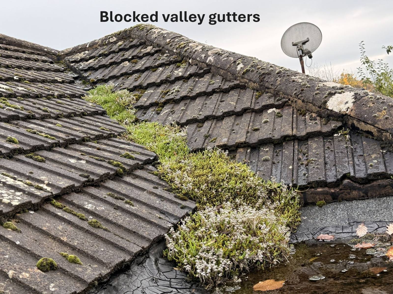 Blocked valley gutters found during a residential survey